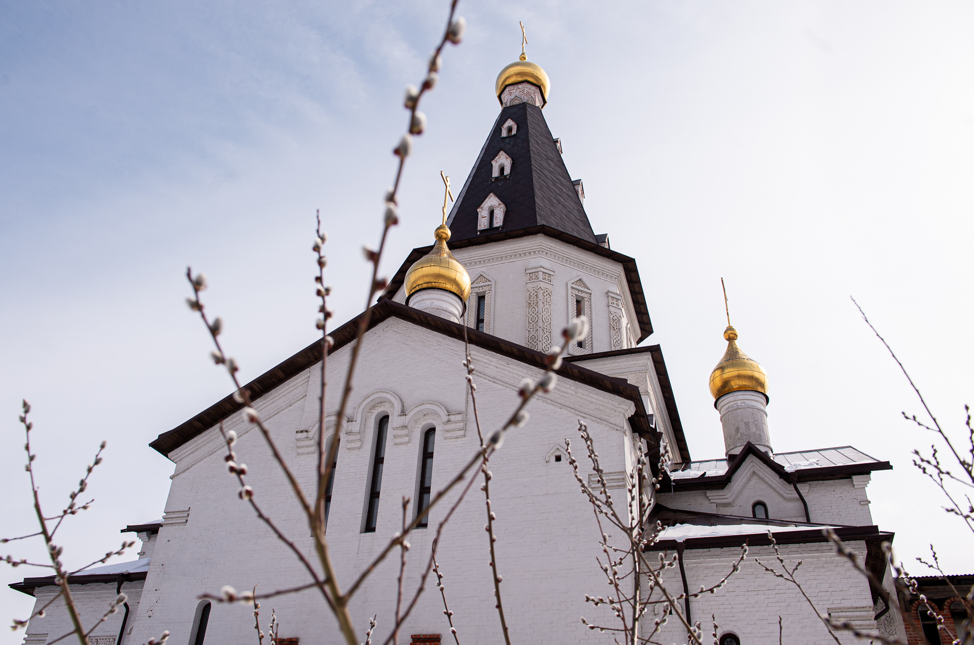 Церковь Ксении Петербургской в Медвежьих Озерах