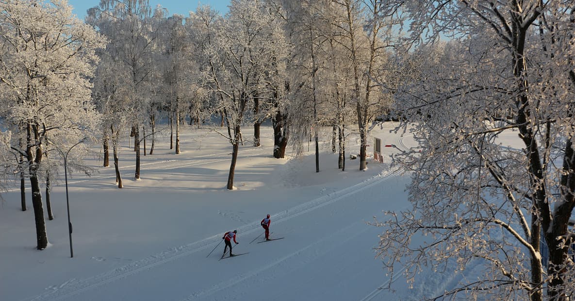 Лыжные трассы парка-отеля «Пересвет»