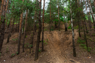 Лыткарино, Лыткаринский карьер (Волкушинский), трасса для маунтинбайка