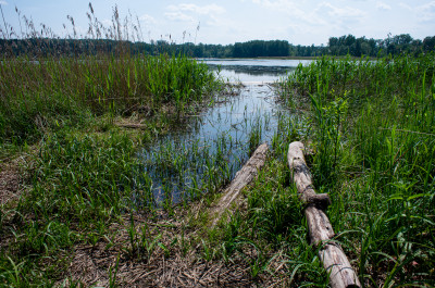 Яхромское водохранилище фото