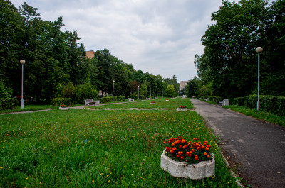 Черноголовка достопримечательности фото