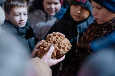 Ферма «Северный олень» в деревне Анциферово, Подкаст, Выпуск 21