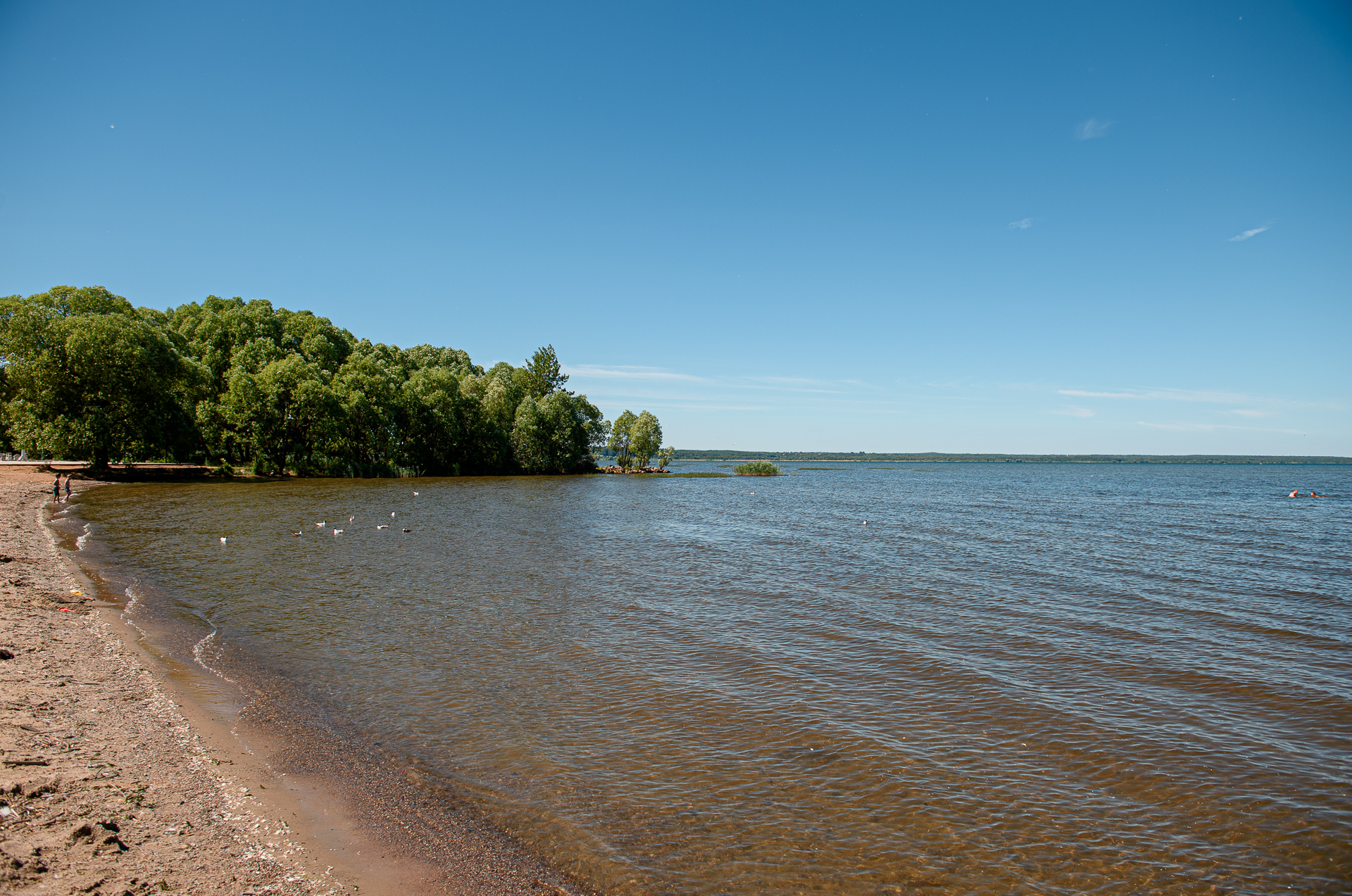 Плещеево озеро пляжи для купания. Озеро в Переславском Калининградской.