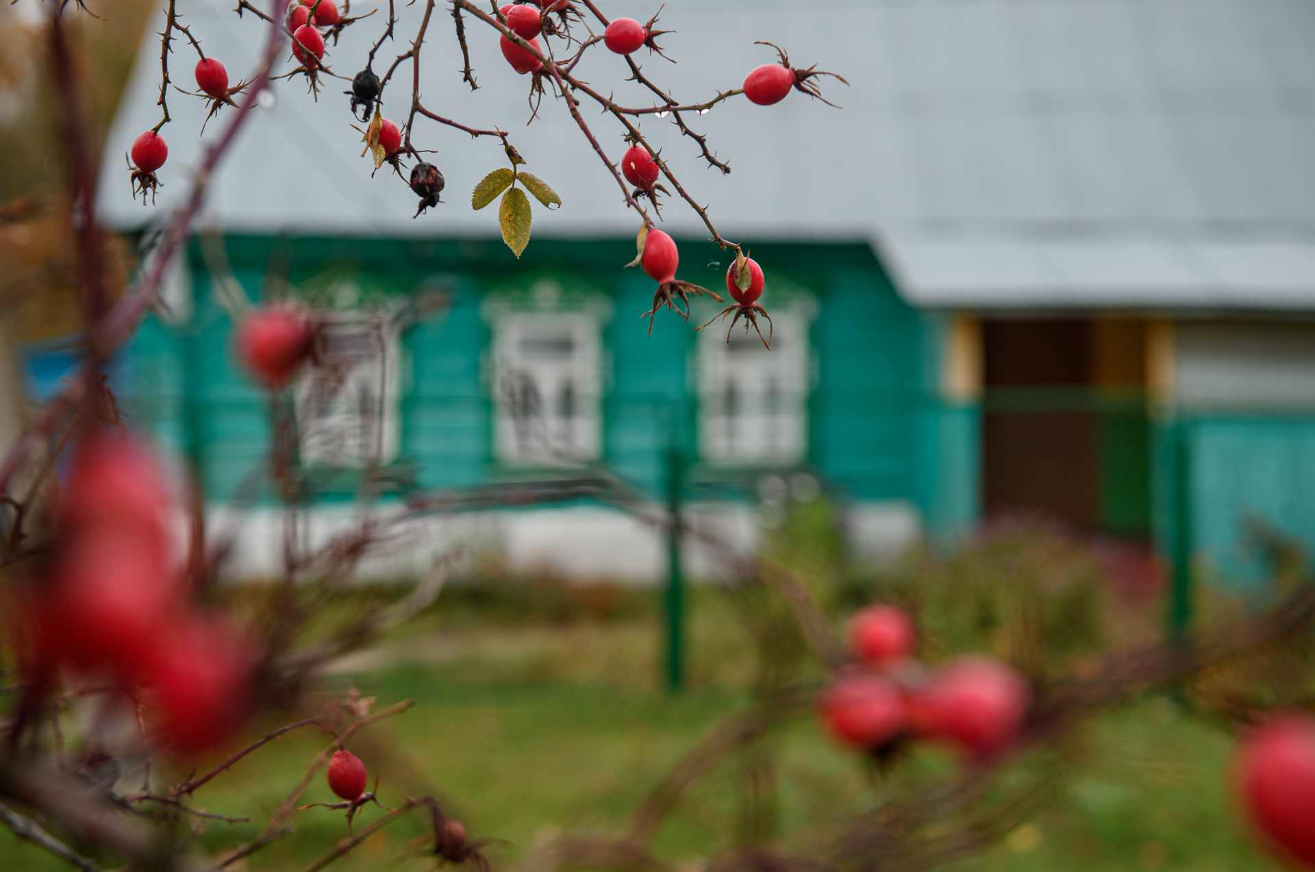 Село Спас-Дощатый