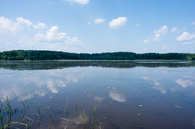 Яхромское водохранилище фото