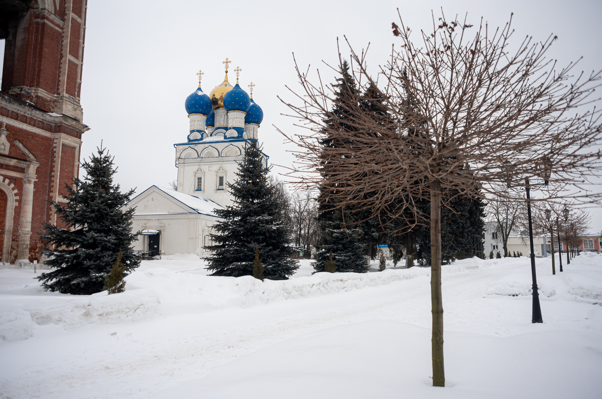 Бронницы