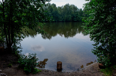 Черноголовка вода фото