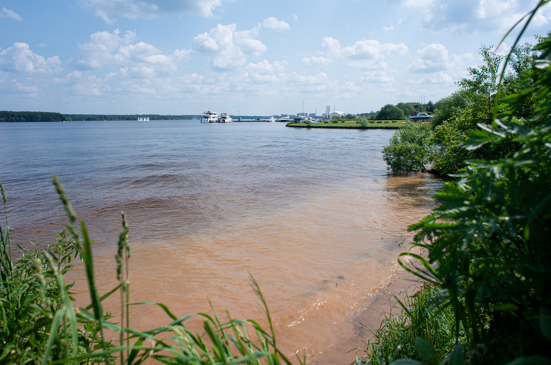 Пироговское водохранилище фото